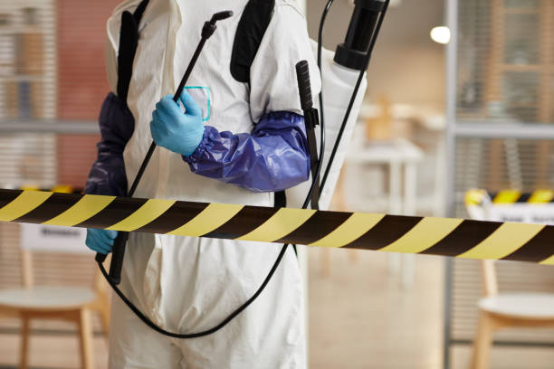 Professional Sewage Cleanup technician working in Pomeroy, WA